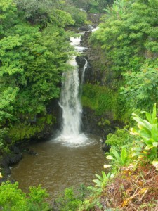 World Botanical Gardens