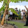 Imiloa Native Garden