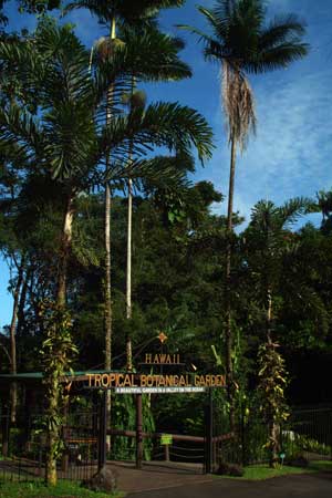 Hawaii Tropical Botanical Garden