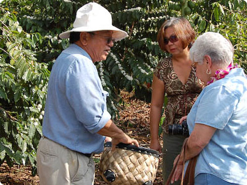 Coffee Farm