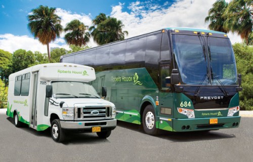 Roberts Hawaii Tour Buses