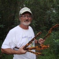 Dr. Don Hemmes
