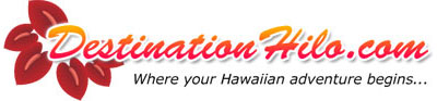 destination-hilo-logo