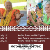 Hilo-Hula-Days-May-2017-v2