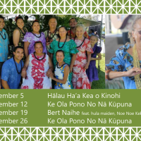 Hilo-Hula-Days-SEPT-2017-1-1