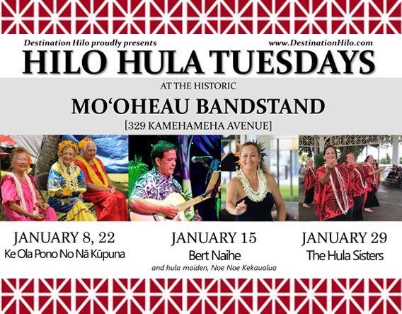 Hilo-Hula-Days-Jan-2019