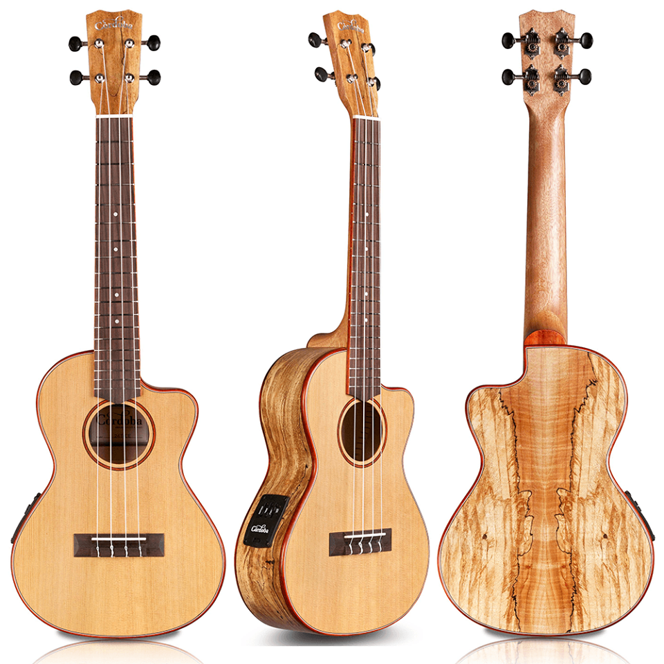 Hawaiian Ukulele & Guitar Destination Hilo