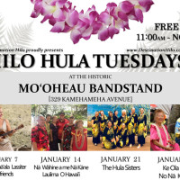 Hilo-Hula-Days-Jan-2020-1