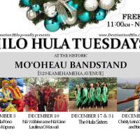 Hilo-Hula-Days-Nov-2019-1