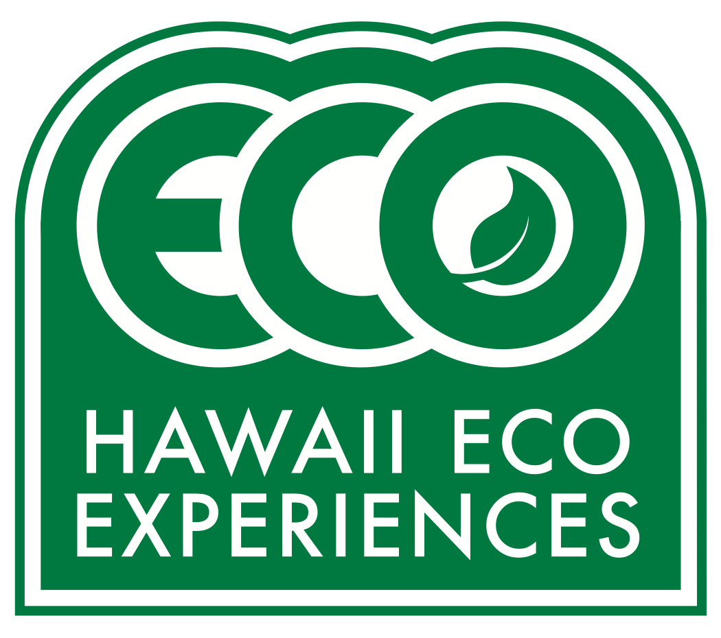 Logo+green+Eco